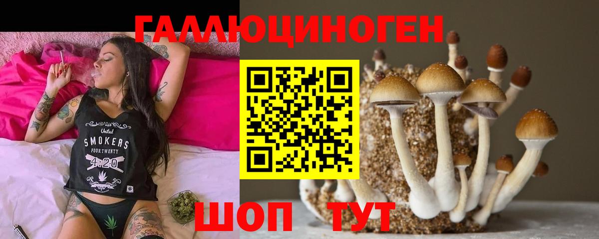 Ставрополь  наркота  Вход с VPN  Галлюциногенные грибы Psilocybine cubensis 